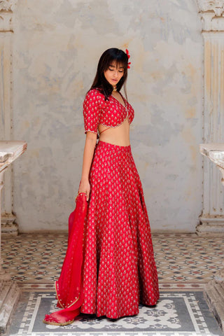 Side angle of the lehenga set, a perfect attire for wedding ceremonies or bridesmaid dress.