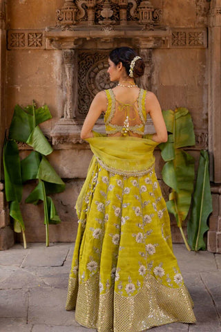 Back look of the lehenga set