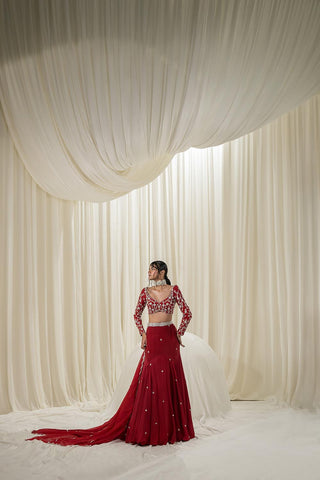 Designed by Ease an intricate fit and flare lehenga in maroon hue paired with a heavy jaal embroidered blouse and all over butta embroidered scallop dupatta.