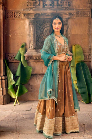 Featuring a mocha brown embroidered flared lehenga in zari tissue base with zari, pearls and sequins embroidered thick border. It is paired with a matching hand embroidered blouse in tissue base with deep V-neckline and elbow length sleeves. It comes with a complimenting teal colored silk organza dupatta with gota lace border on all sides.