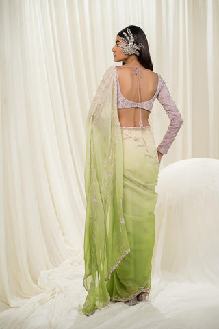 A back look of the blouse and saree