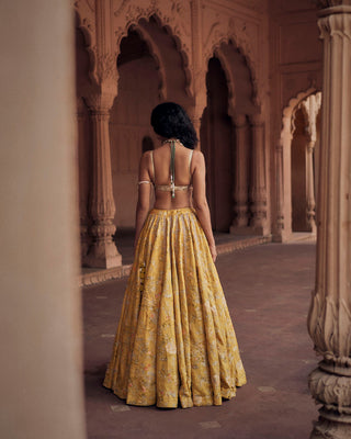 A look for the back of the blouse and lehenga