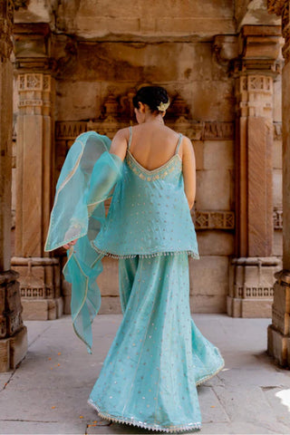 Back look of the Sharara dress