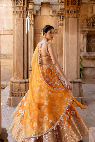 Featuring a tangerine hand embroidered lehenga in silk base with chiffon floral patchwork, dori and resham embroidery with sequins and pearls. It is paired with a matching hand embroidered tangerine sleeveless blouse in silk with deep V-neckline. It comes with a tangerine embroidered organza dupatta.